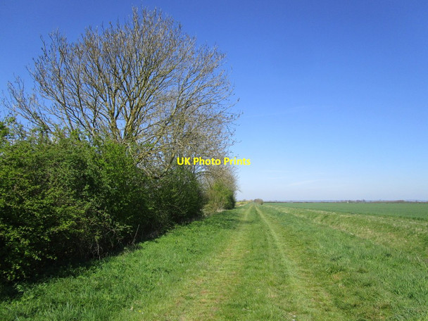 Photo 6"x4" Green Lane Carrington\/TF3154 c2015