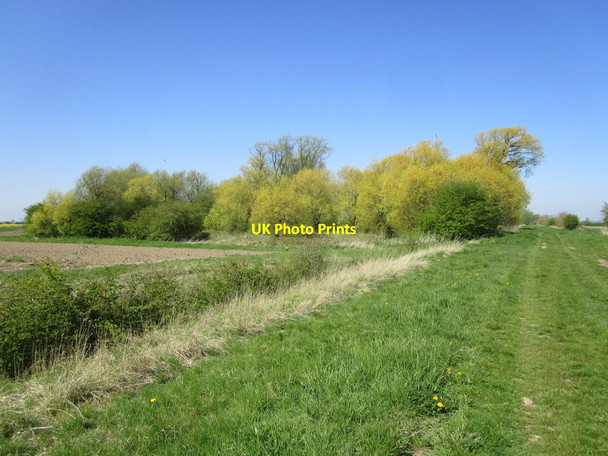 Photo 6"x4" Shaw Wood Bunker's Hill\/TF2653 c2015