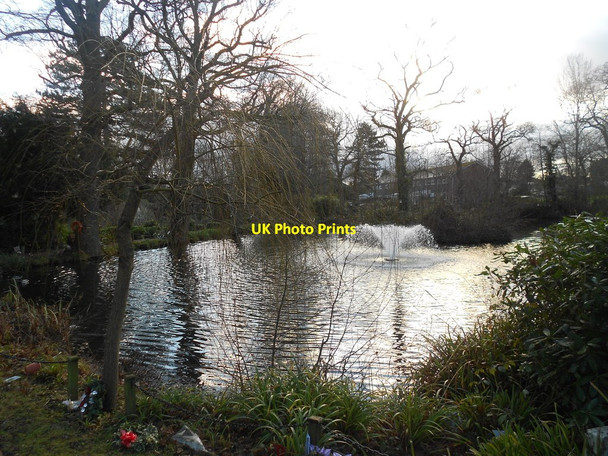 Photo 6"x4" Pond at Woking Crematorium Hook Heath c2015