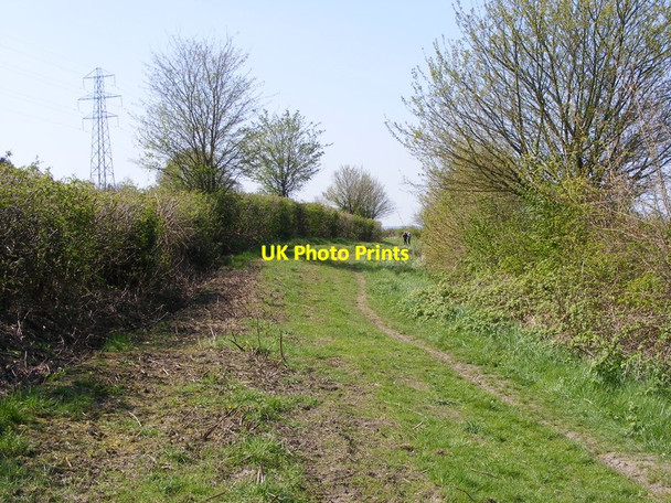 Photo 6"x4" Nature Reserve Footpath Dudley\/SO9390 c2015