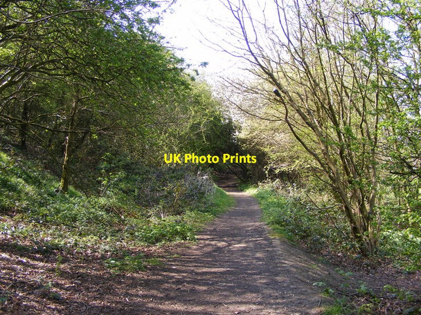 Photo 6"x4" Barrow Hill Path Dudley\/SO9390 c2015