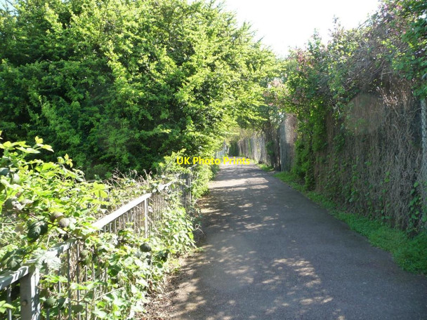 Photo 6"x4" Path from Craneford Way to the bank of the River Crane Twickenham c2015