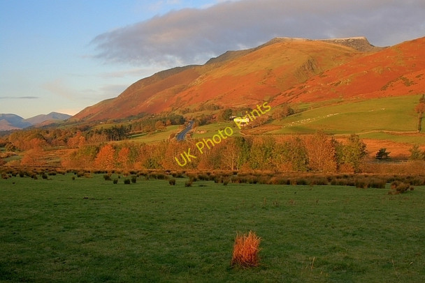 Photo 6"x4" Pasture Near Hutton Moor End Scales\/NY3426 c2008