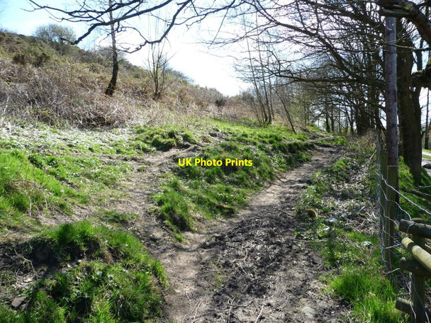 Photo 6"x4" Permissive footpath, east of Doe Park Reservoir Denholme c2015