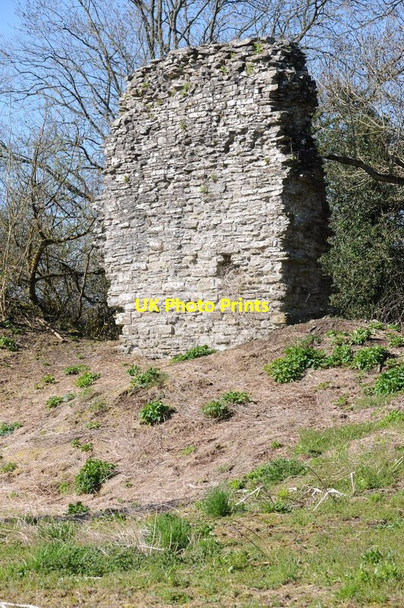 Photo 6"x4" Huntington Castle Huntington\/SO2553 c2015 P2