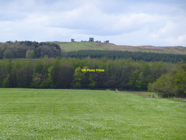 Photo 6"x4" Arable land with cereals Longwitton c2015