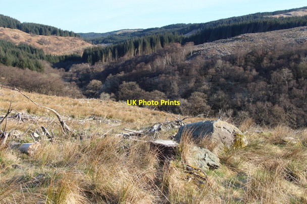 Photo 6"x4" Wooded glen of Douglas Water Auchindrain c2015
