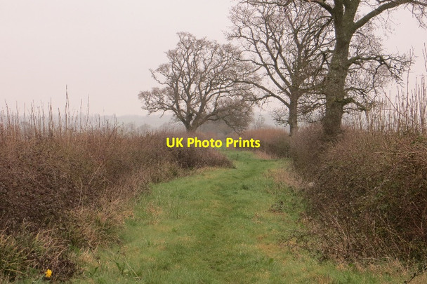 Photo 6"x4" Lottisham Lane Lottisham c2015