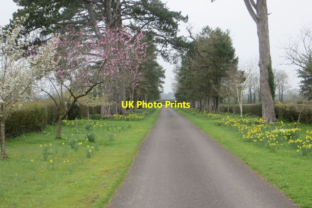 Photo 6"x4" Driveway, Hornblotton House Stone\/ST5834 c2015
