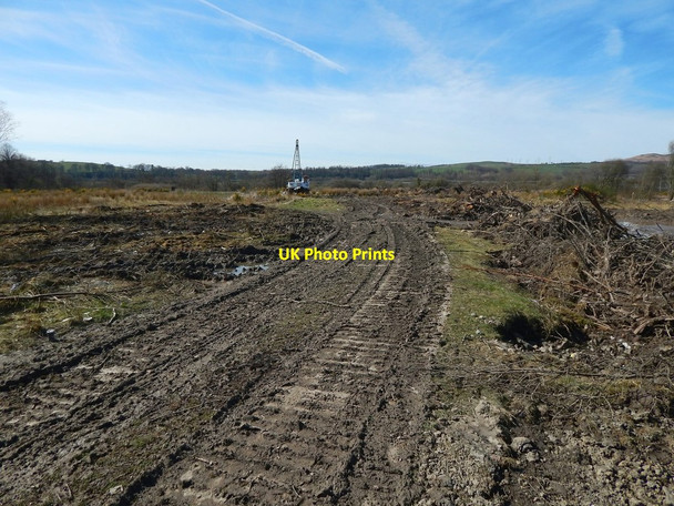 Photo 6"x4" Cleared area at Lomondgate Dumbarton c2015