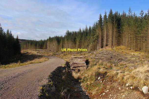 Photo 6"x4" Improved forest road above Douglas Water Auchindrain c2015