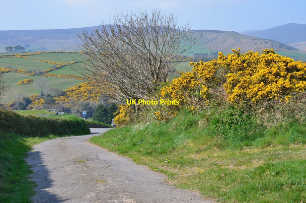 Photo 6"x4" Lane above Cornaa Ballajora c2015
