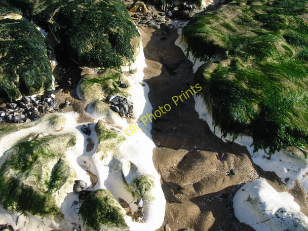 Photo 6"x4" Sculpted chalk on the shore Kingsgate\/TR3970 c2008