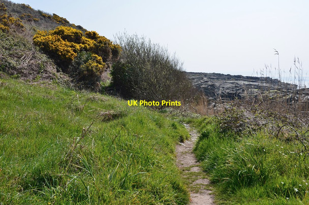 Photo 6"x4" Coast path at Port Mooar Ballajora c2015