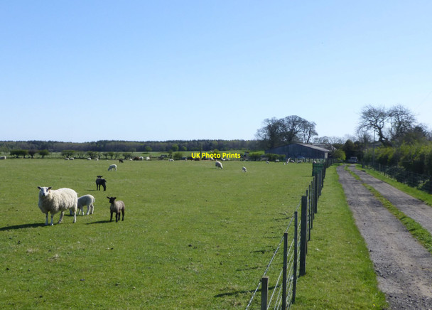Photo 6"x4" Approach to Penny Hill Meldon\/NZ1183 c2015