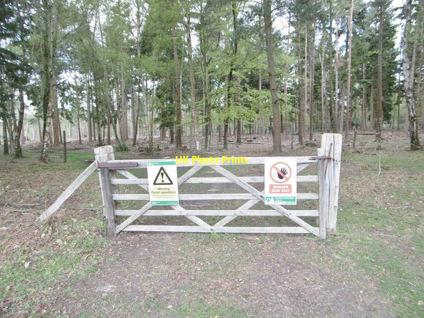 Photo 6"x4" Lodge Heath, gate Furzey Lodge c2015