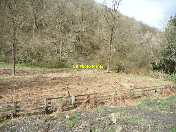 Photo 6"x4" Field or Forest? Newtondale Low Dalby c2015