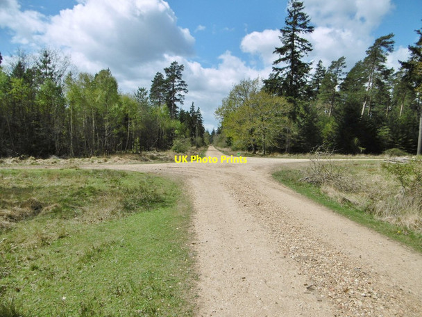 Photo 6"x4" Parkhill Inclosure, forestry crossroads Balmerlawn c2015