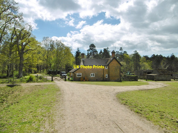 Photo 6"x4" New Copse Cottage Balmerlawn c2015
