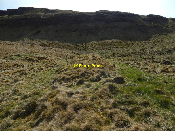 Photo 6"x4" An old boundary Bellsmyre c2015