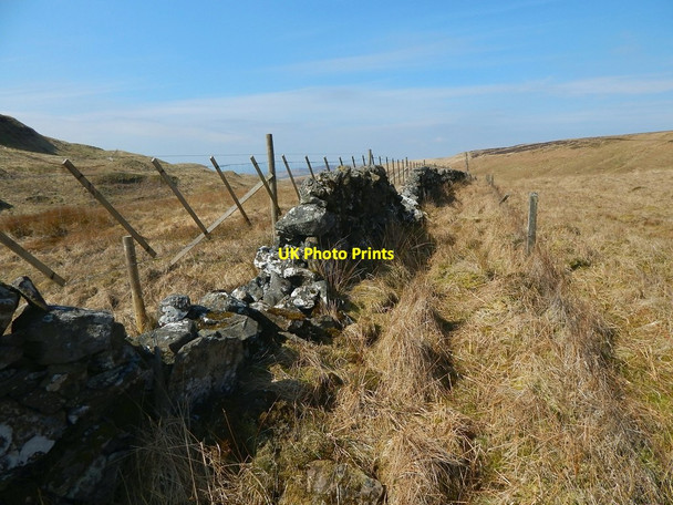 Photo 6"x4" Dry-stone dyke and deer fence Milton\/NS4274 c2015