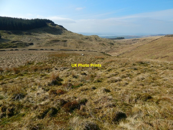 Photo 6"x4" Lower slopes of Doughnot Hill Milton\/NS4274 c2015