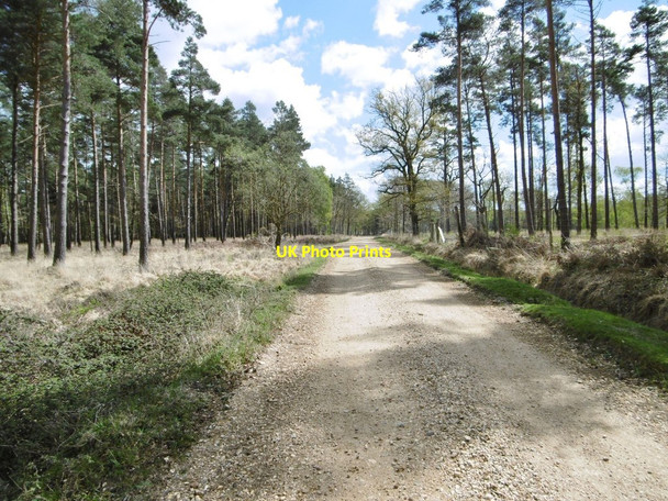Photo 6"x4" Frame Heath Inclosure, cycle route Furzey Lodge c2015