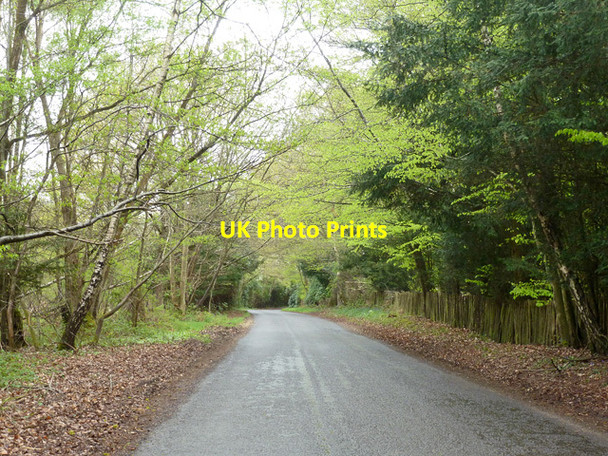 Photo 6"x4" Back Lane Balcombe Lane c2015