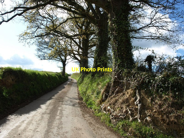 Photo 6"x4" Lane at Lower Huddishill Hillerton c2015