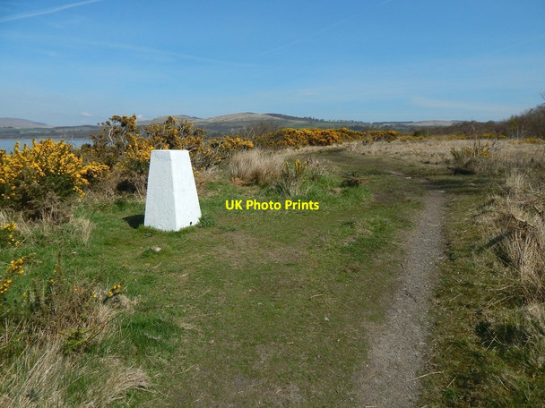 Photo 6"x4" Trig point at Ardmore Kelhurn c2015