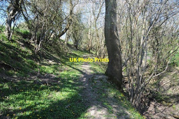 Photo 6"x4" Bridleway on the border Lower Rabber c2015