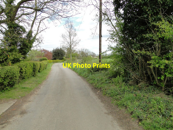 Photo 6"x4" Country road in Dallinghoo Dallinghoo c2015