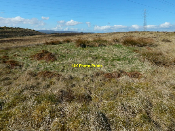 Photo 6"x4" Circular feature on Carman Muir Alexandria c2015