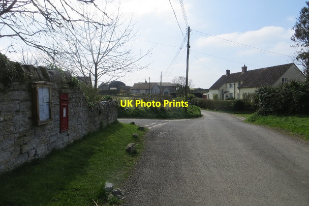 Photo 6"x4" Weston Bampfylde Queen Camel c2015