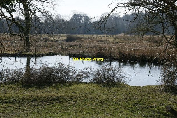 Photo 6"x4" By The River Couch Green c2015