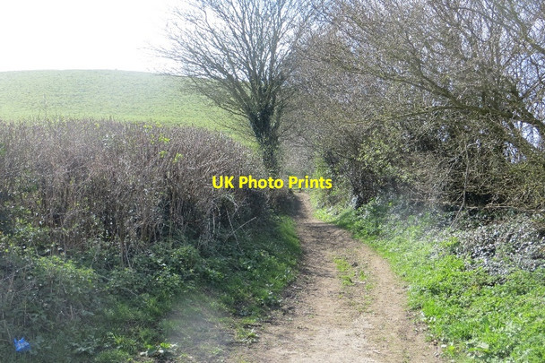 Photo 6"x4" Green lane, Sutton Montis Sutton Montis c2015
