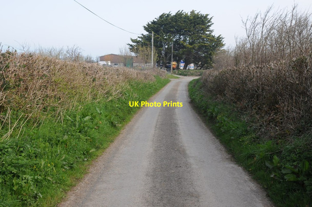 Photo 6"x4" Country road near Abbotsham Abbotsham\/SS4226 c2015