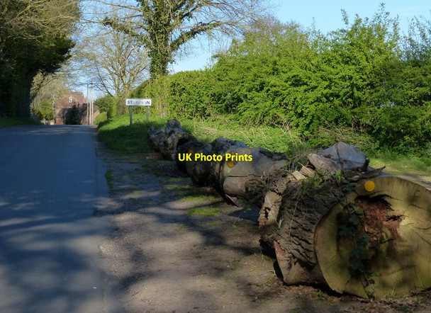 Photo 6"x4" Lane on the west edge of Stareton Stareton c2015