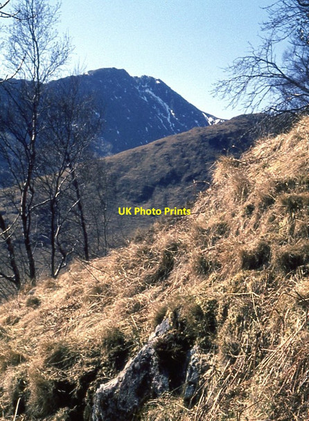 Photo 6"x4" Eastern approach to Cruachan Lochawe c1969