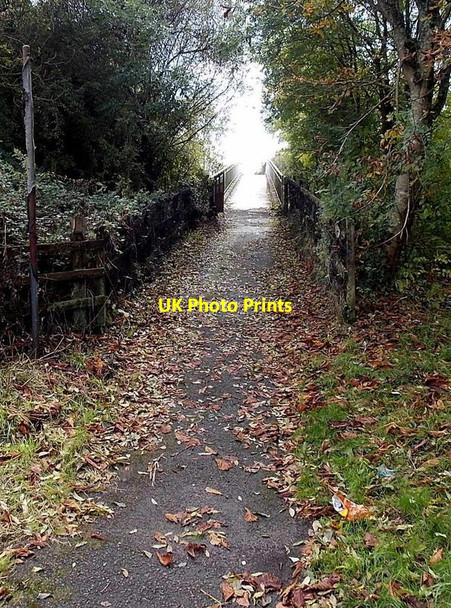 Photo 6"x4" Path to a motorway footbridge, Sarn Pen-y-cae\/SS9082 c2014
