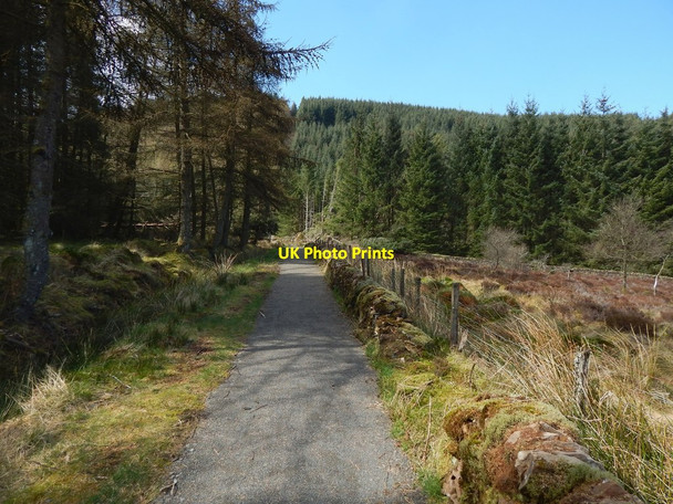 Photo 6"x4" Path to Goukhill Muir Arden\/NS3684 c2015