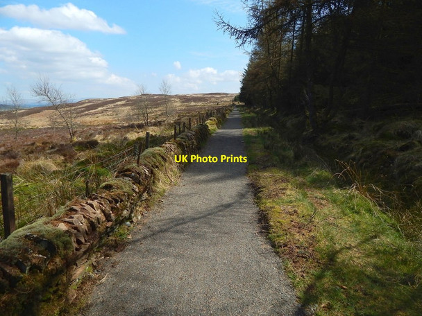 Photo 6"x4" Path to Darleith Muir Arden\/NS3684 c2015 P1