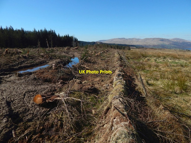 Photo 6"x4" Cleared margin of woods Arden\/NS3684 c2015