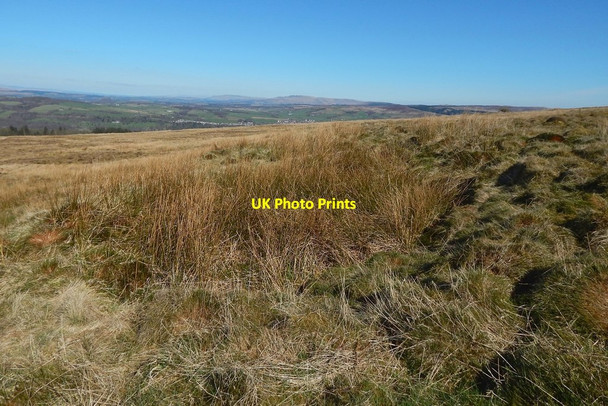 Photo 6"x4" Pit near edge of woods Arden\/NS3684 c2015