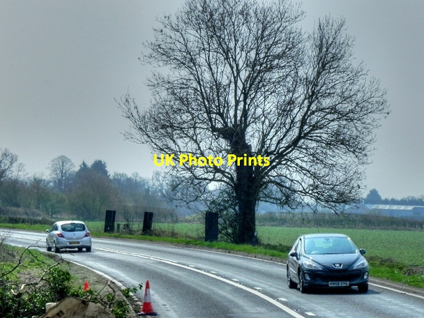 Photo 6"x4" Tree on a Bend on the A439 Heath End\/SP2360 c2015