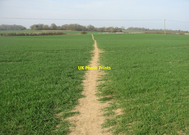 Photo 6"x4" Path across Pack Lane Field East Oakley c2015