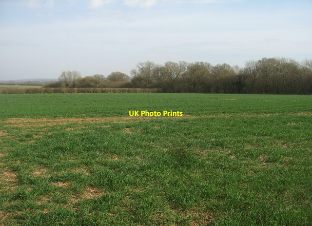 Photo 6"x4" Mothers West Field (10 acres) Newfound c2015
