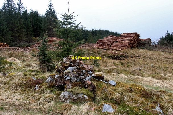 Photo 6"x4" Carn Chailein Allt nan Sac\/NM9804 c2015