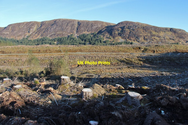 Photo 6"x4" Clear-felled forest at Creag Mh\u00c3\u00b2r Auchindrain c2015