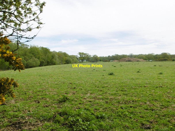 Photo 6"x4" Dilton, grazing land Sandy Down c2015